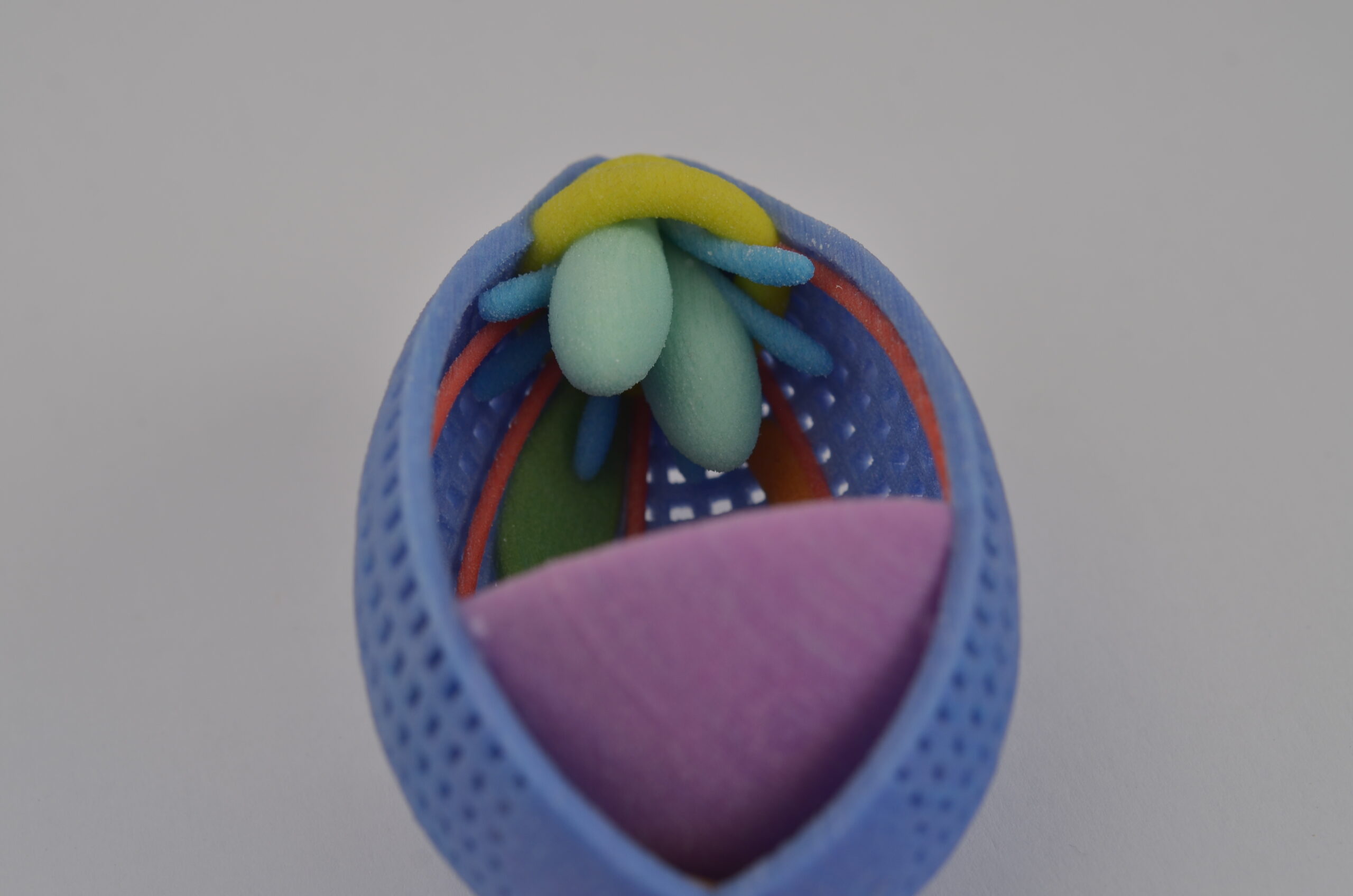 3D Print Plasmodium falciparum parasite